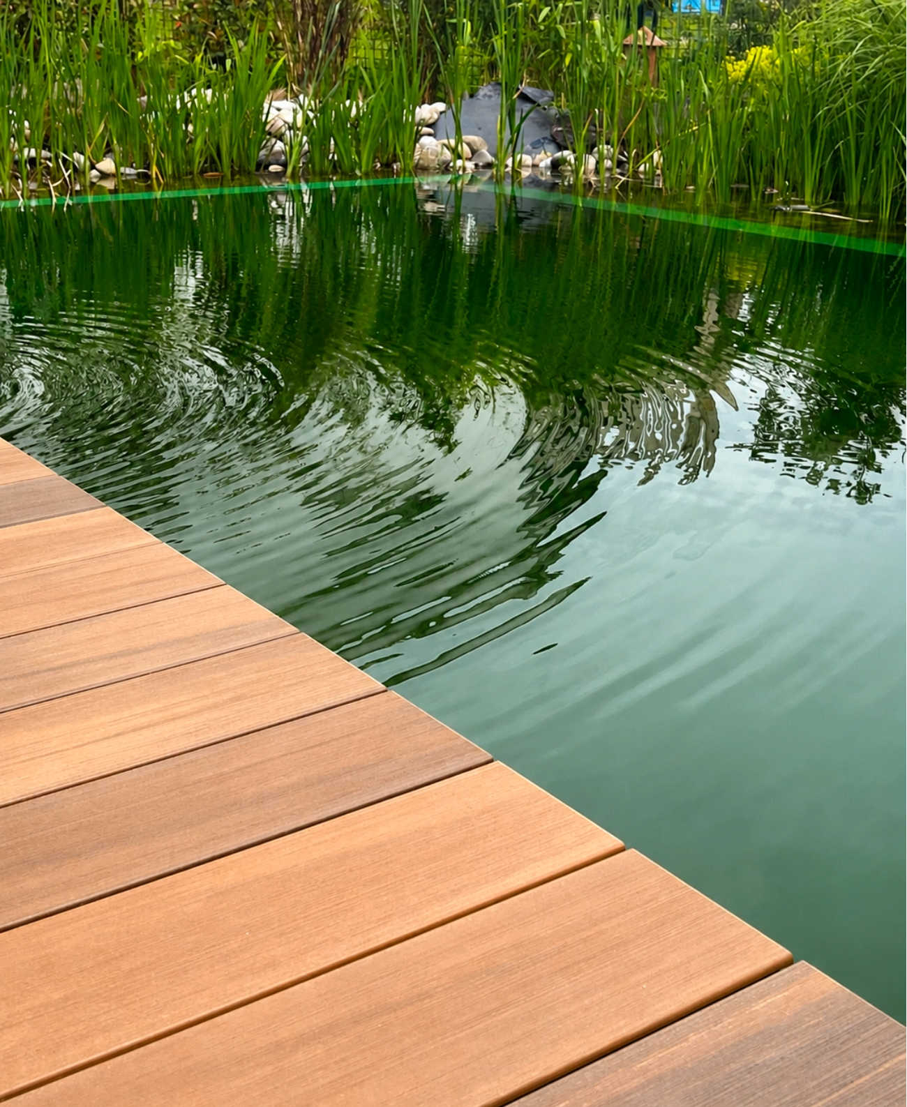 Einfamilienhaus Pool Karlsruhe